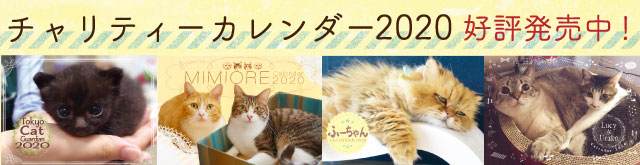 お買い物でレスキュー！ShippoTV通販部