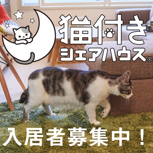 しっぽ不動産