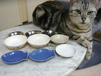 猫用の小皿 イメージ